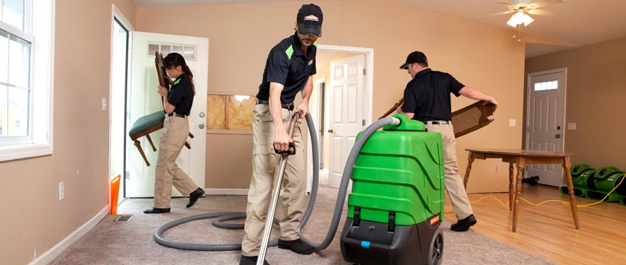 Downtown Memphis , TN cleaning services